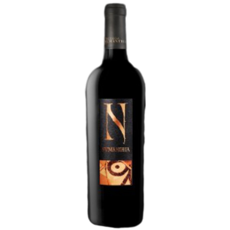 Numanthia Toro 2015 750 ML
