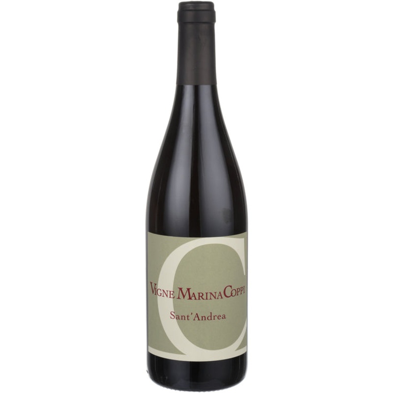 Vigne Marina Coppi Barbera Sant'Andrea Colli Tortonesi 2016 750 ML