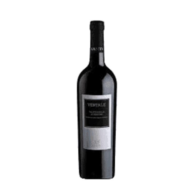 Santi Valpolicella Superiore Ventale Red Blend - 750ML