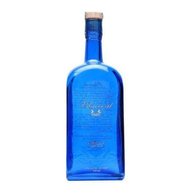 Bluecoat Gin
