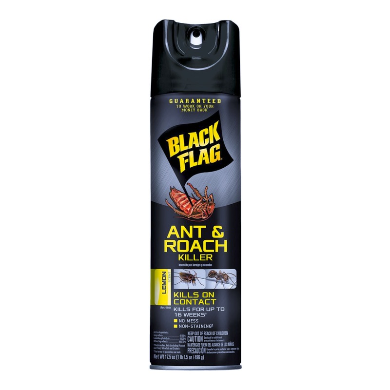 BLACK FLAG ANT/RCH SPRING 12/17OZ