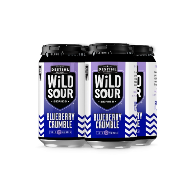 Destihl Wild Sour Series Blueberry Crumble 12oz 4-Pack Can