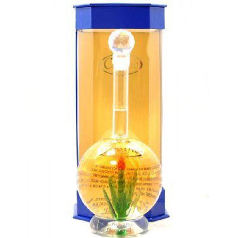 Casino Azul Blanco Tequila
