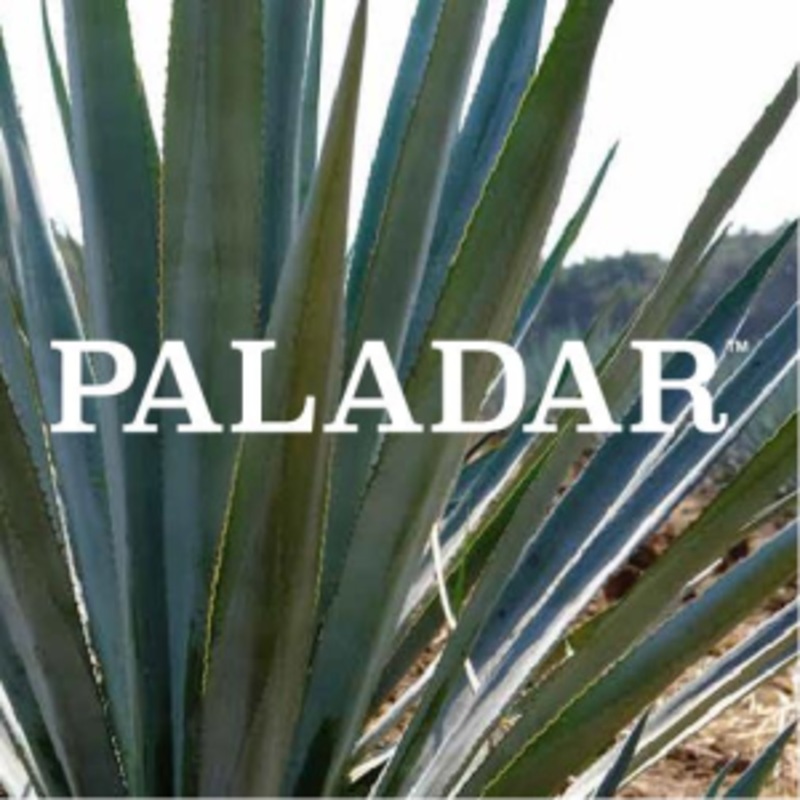 Paladar Blanco Teq