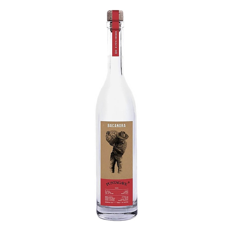 Puntagave Sonora Rustico Bacanora